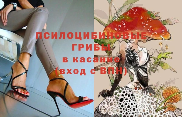 таблы Гусиноозёрск