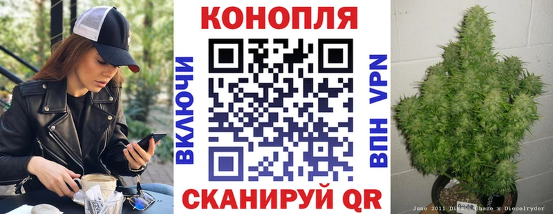 Конопля White Widow Купить закладки Лысково